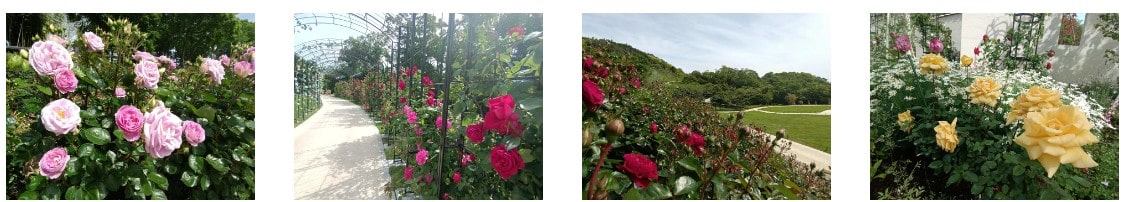 千の花々メモリアルガーデン