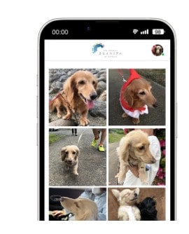 そらメモリアル