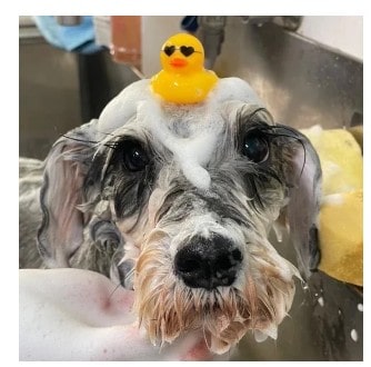 そらメモリアル