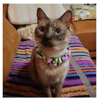 そらメモリアル