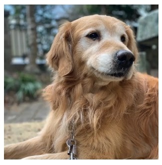 そらメモリアル