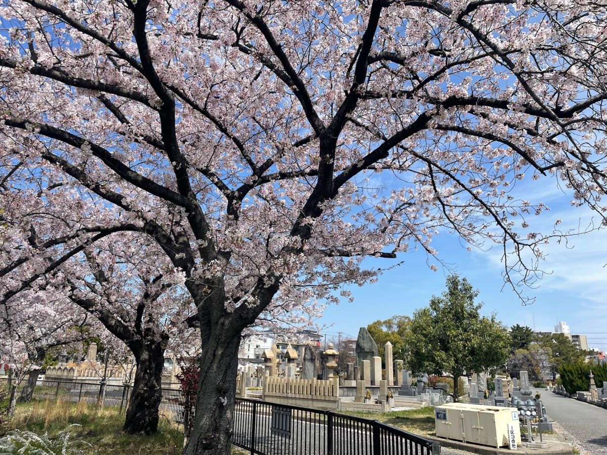 墓石ポータルのビジネスモデル