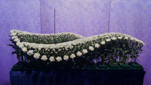 マムとカーネーションを使用した 翼 をイメージしたライン ビューティ花壇 フューネラルビジネスフェア19 6月18日 火 葬研 そうけん