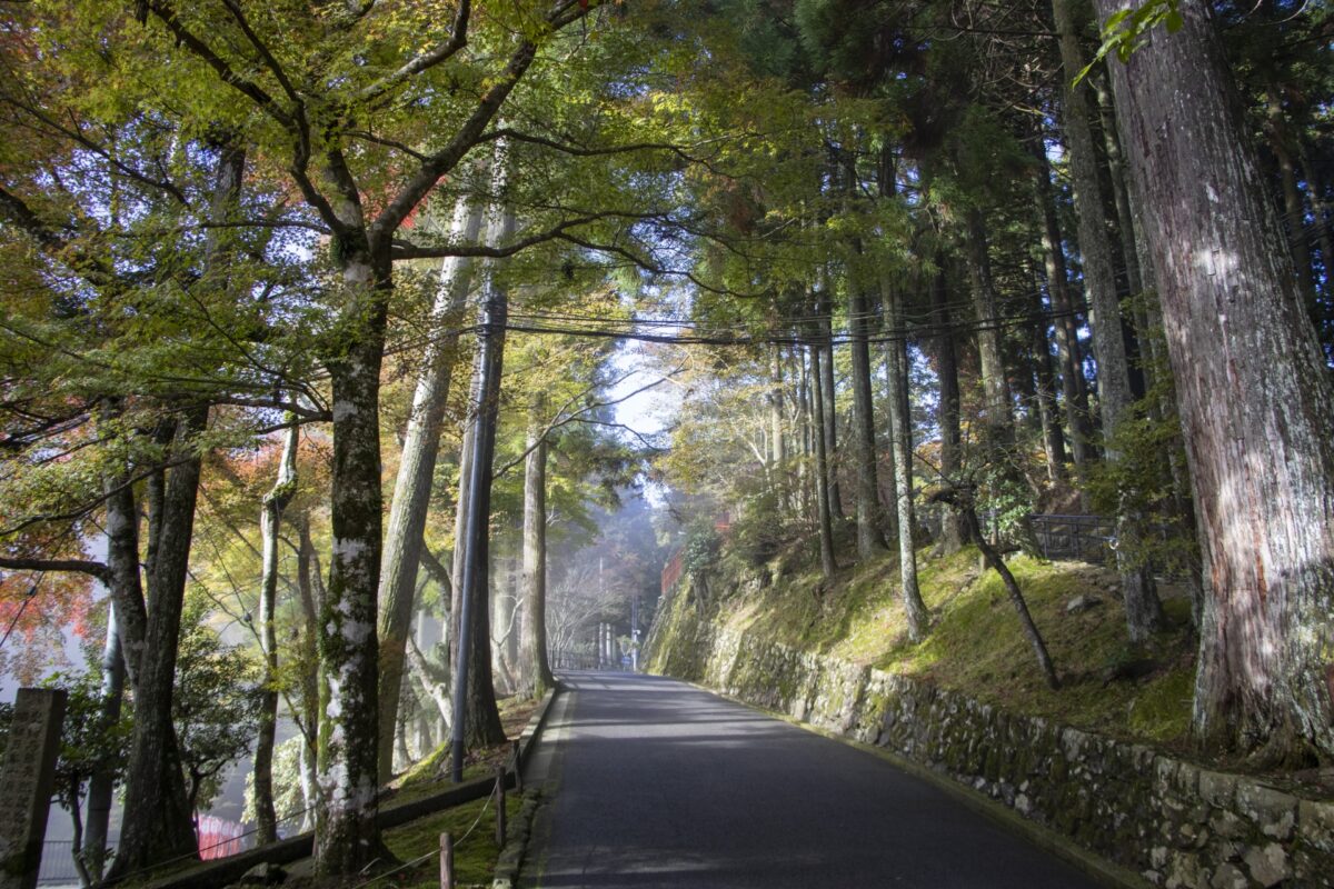 天台宗の総本山、比叡山延暦寺付近の森