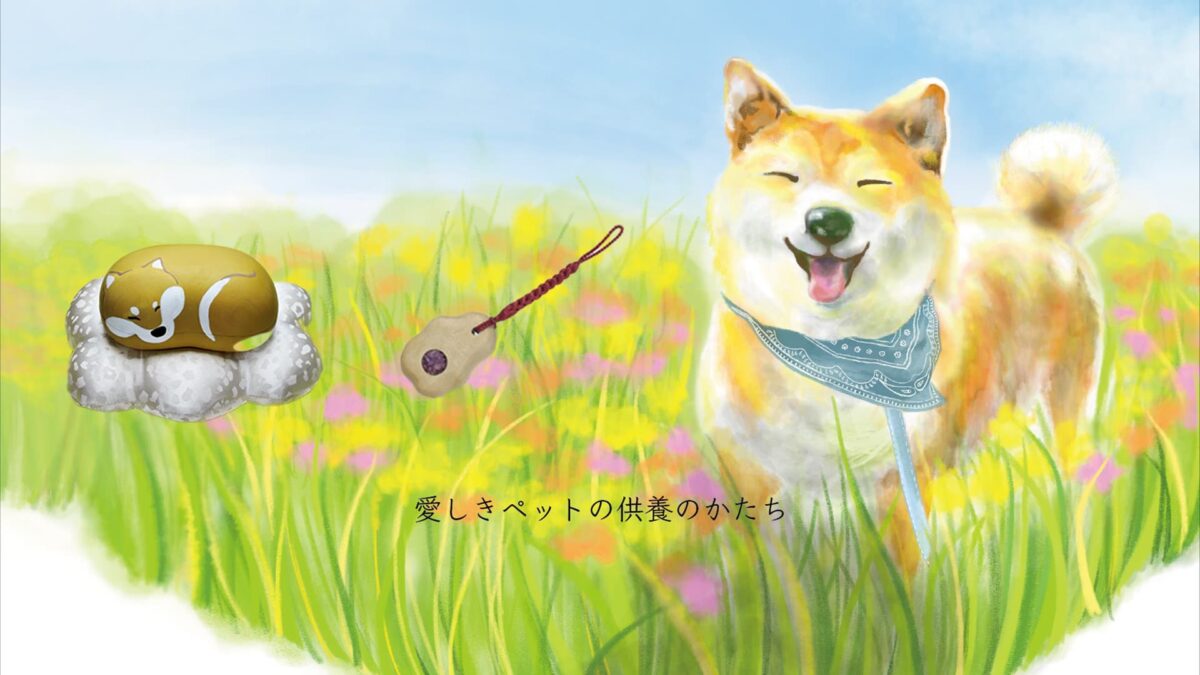 ナミダノサキへ