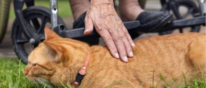 人生統合設計サービス