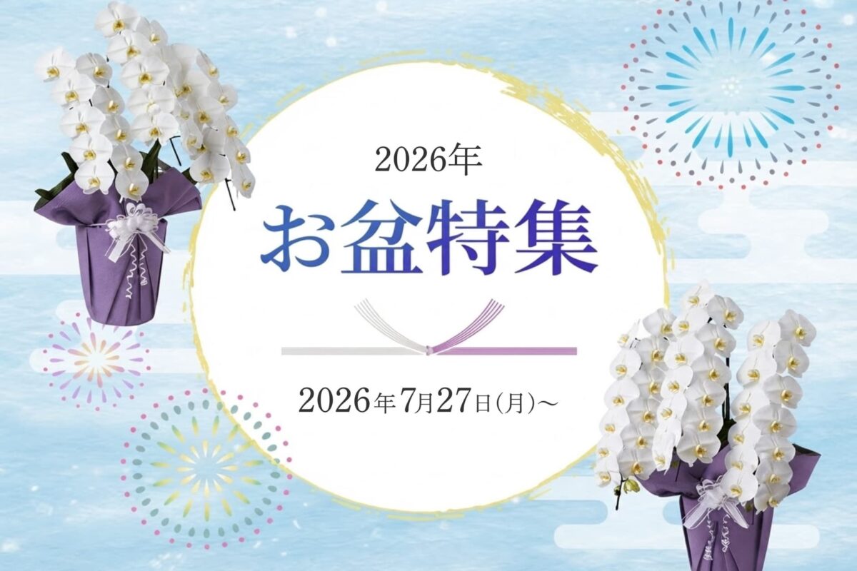 胡蝶蘭