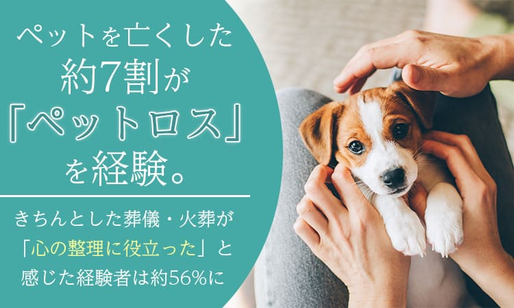 ペットロス