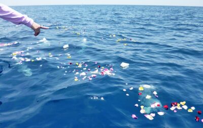 シーセレモニー