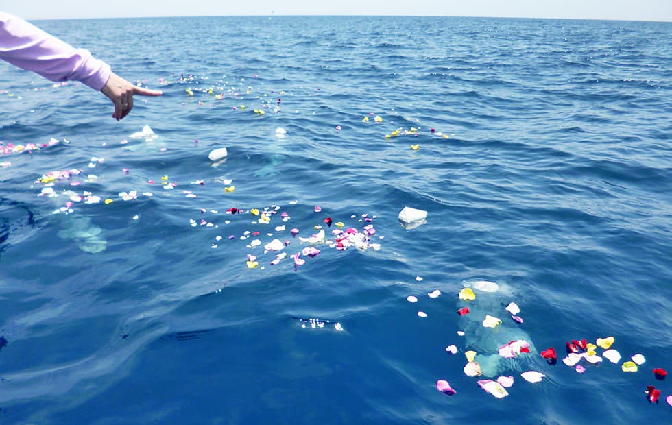 シーセレモニー