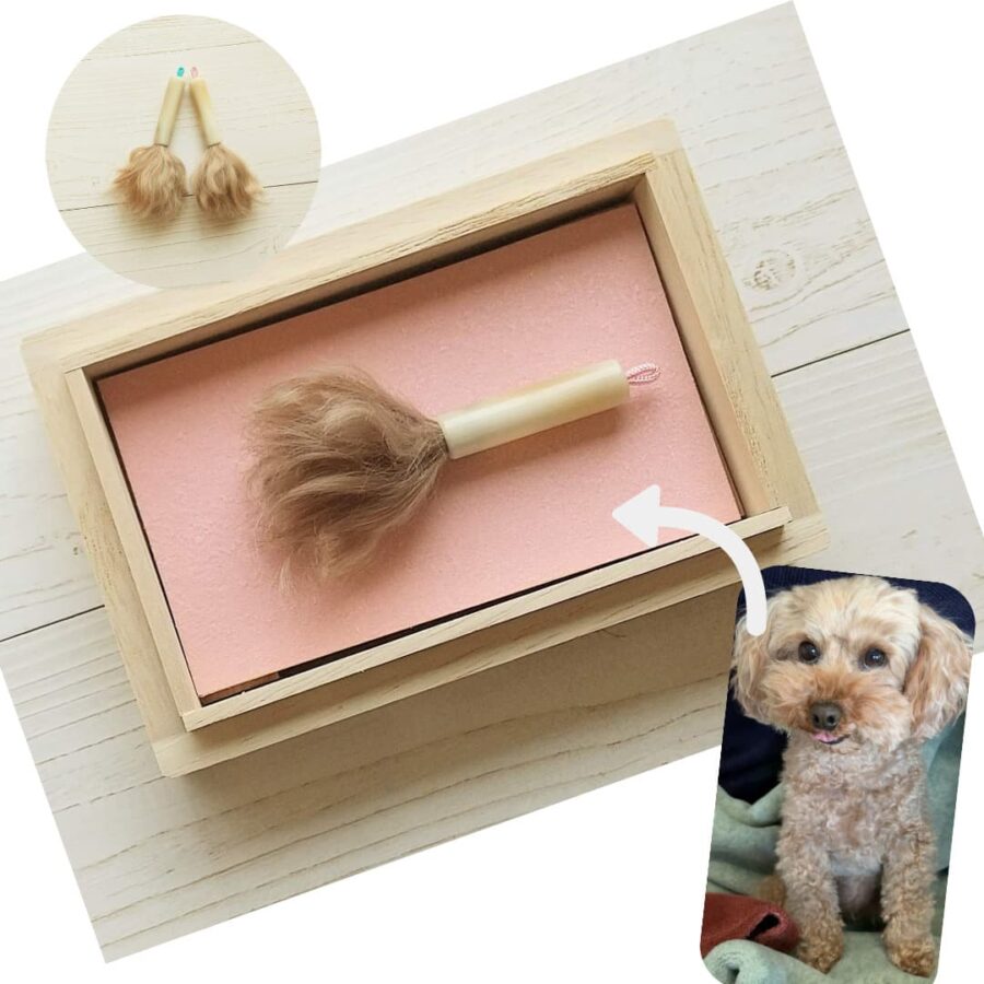 ペットの抜け毛で作る小さな筆