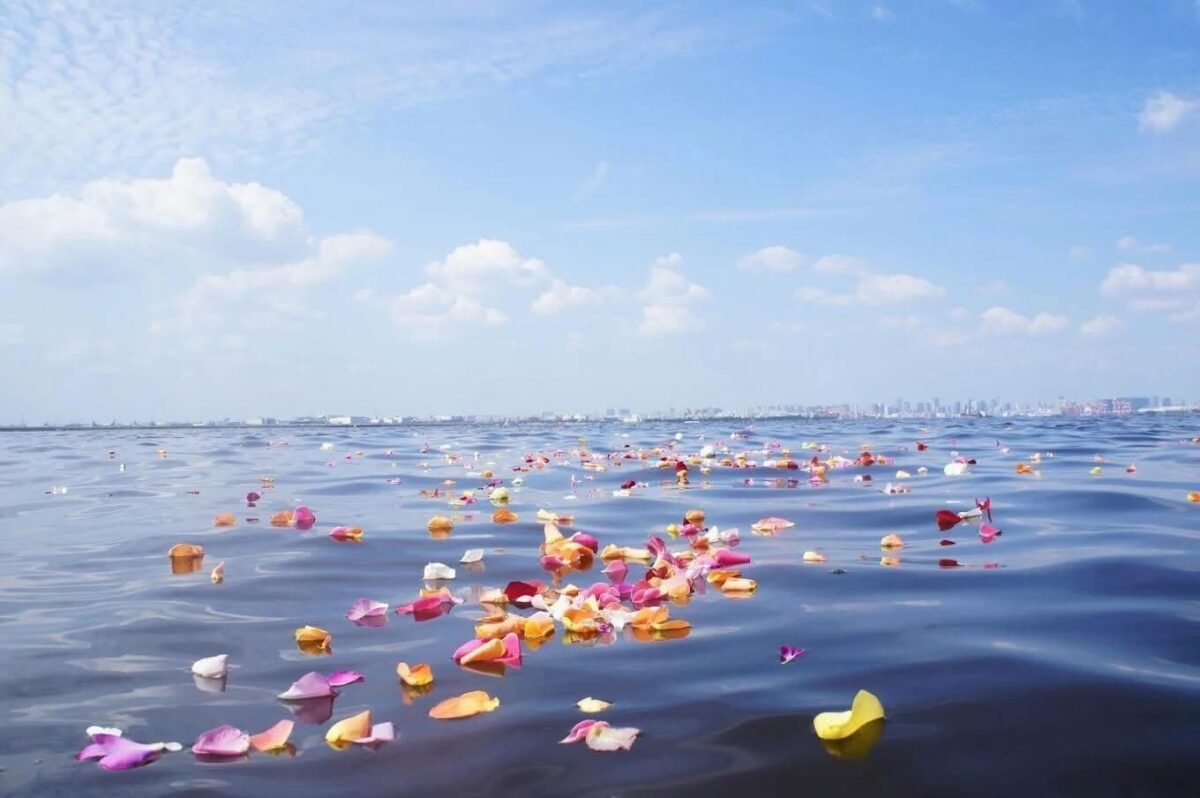 ブルーオーシャンセレモニー