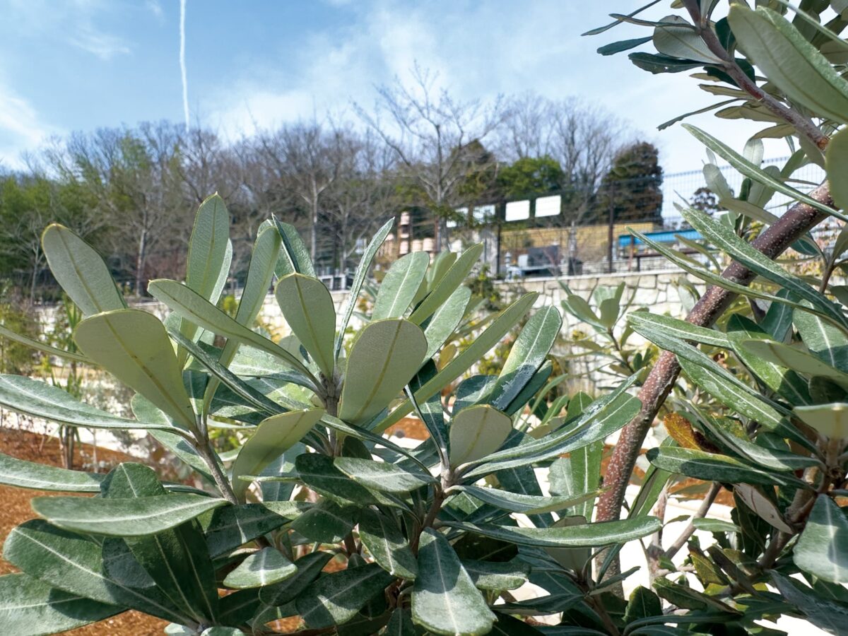 ひだまりの丘ライフガーデン