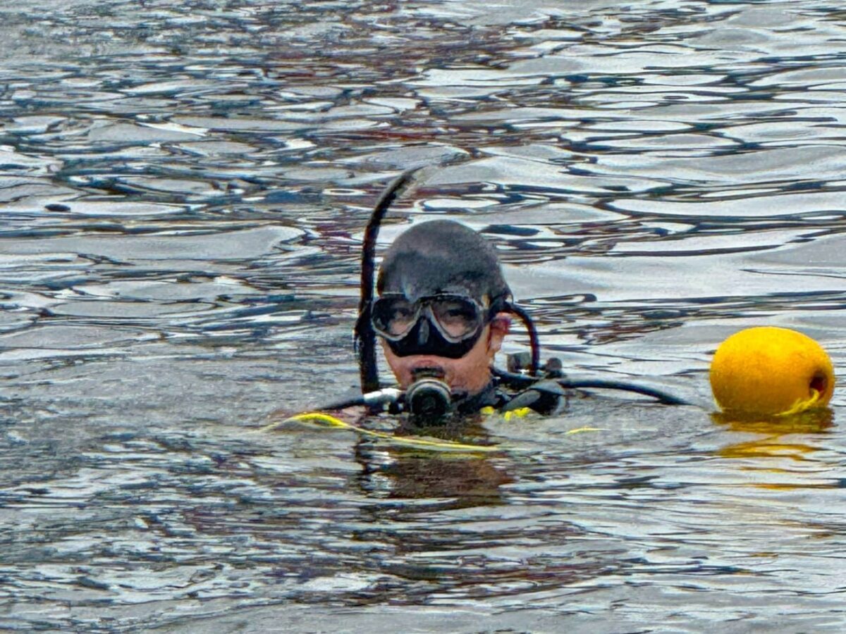 スパイスサーブ