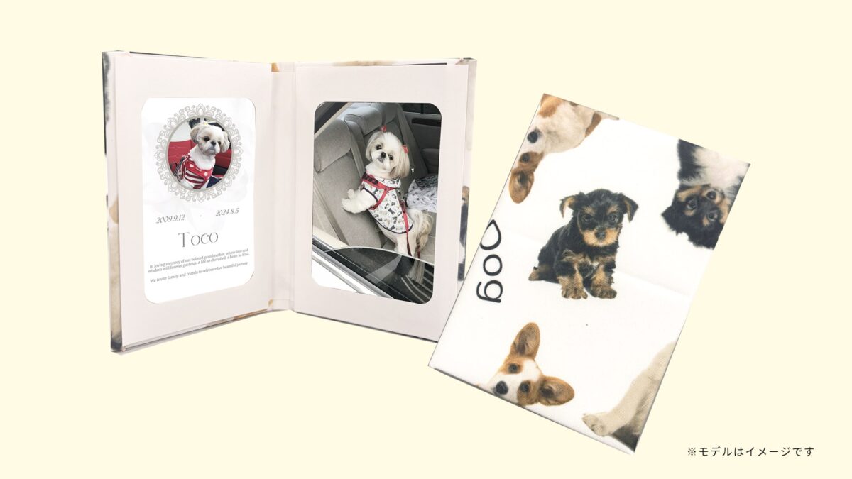 ポケフレポケフレ