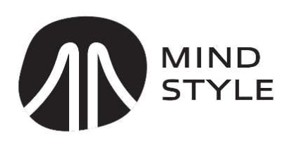 MIND STYLE