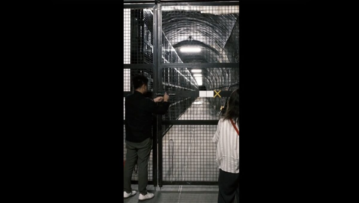 マイ ヴィンテージ