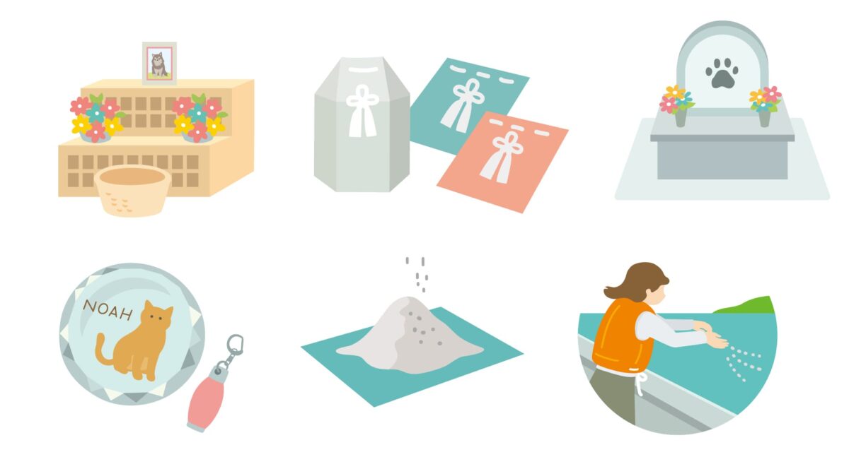 ノア メモリアル