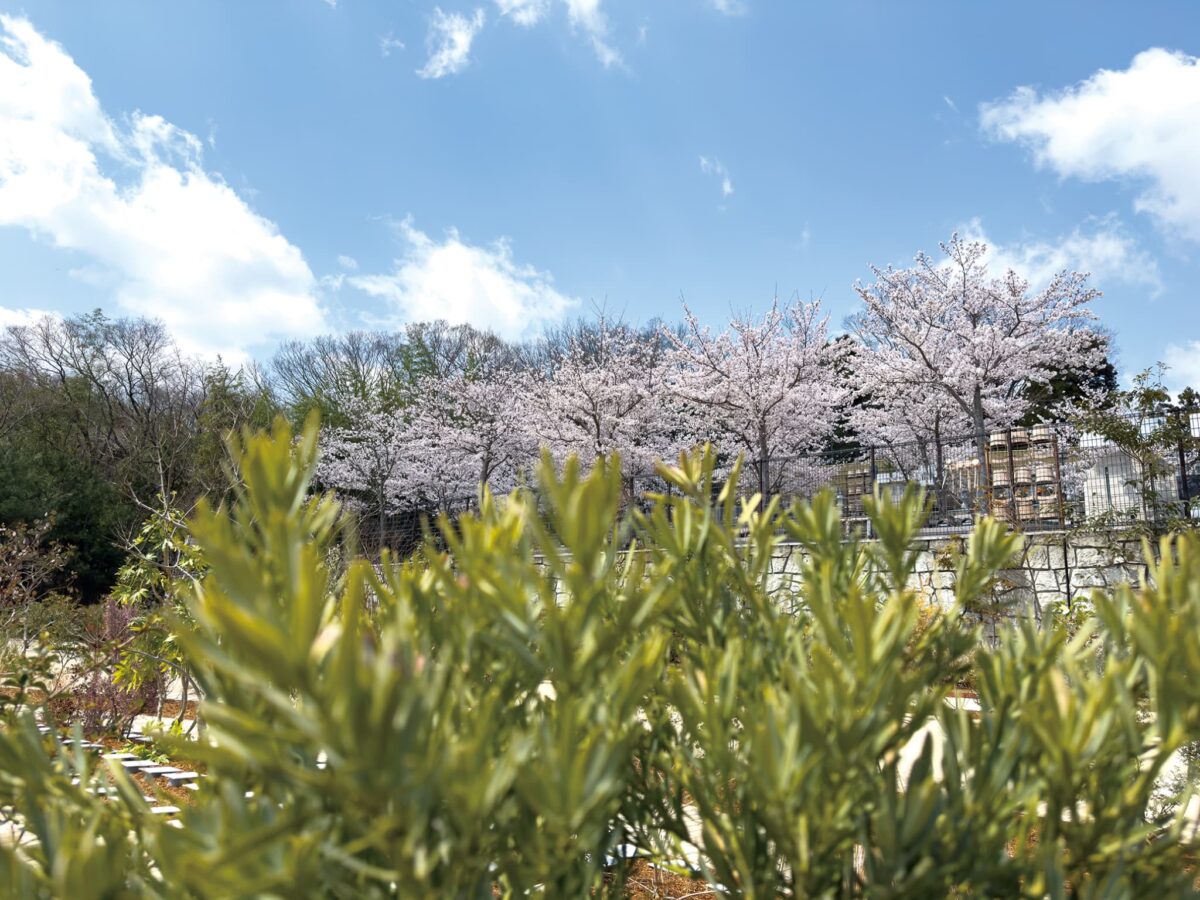 ひだまりの丘ライフガーデン