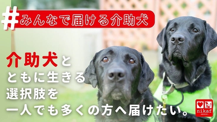 介護犬