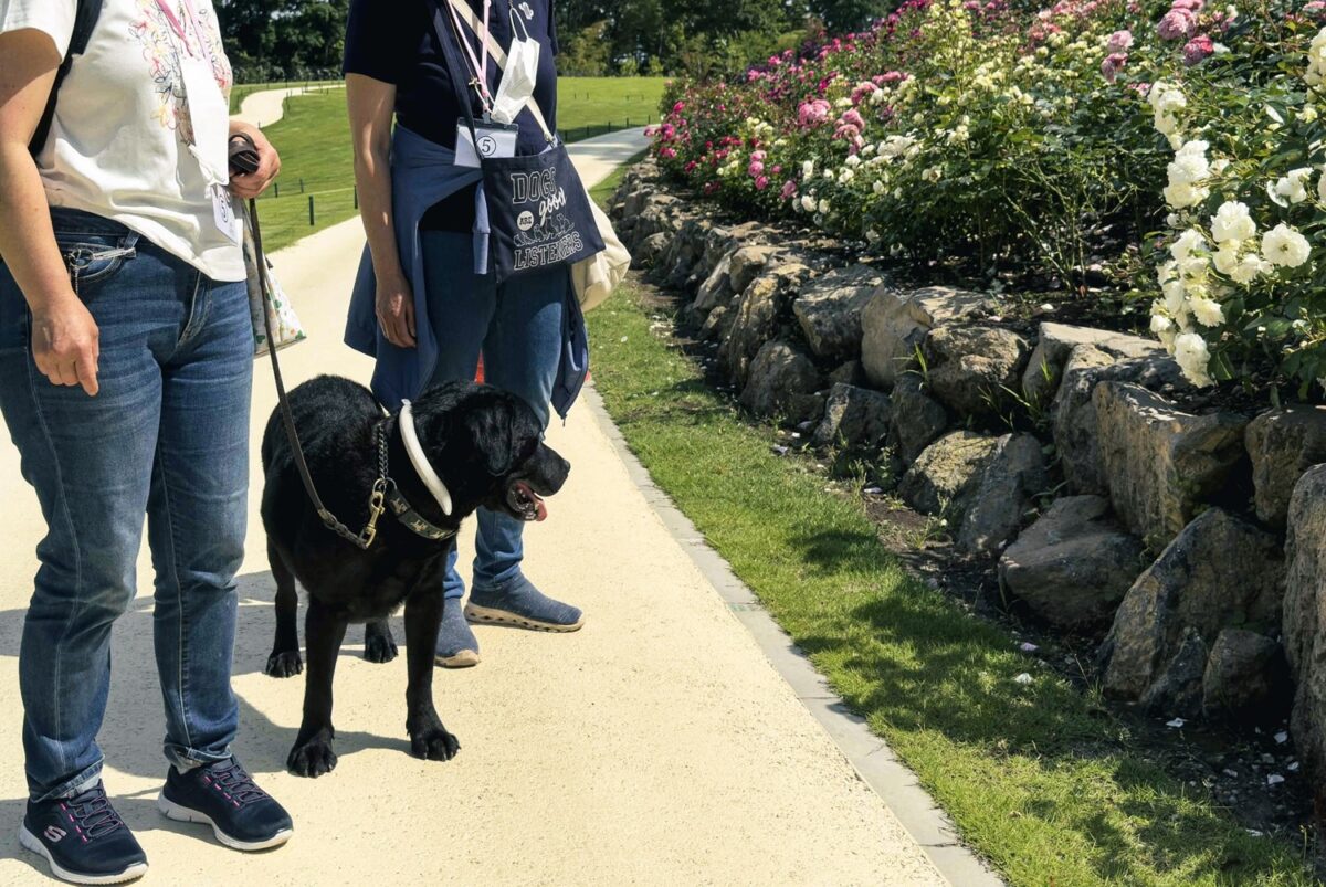 千の花々メモリアルガーデン