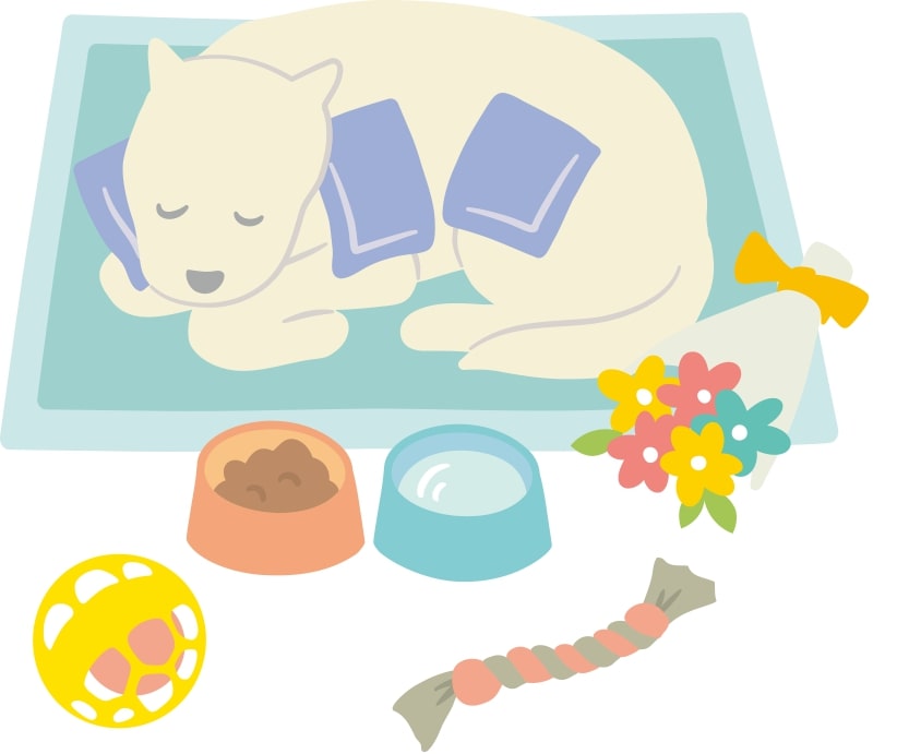 ノア メモリアル