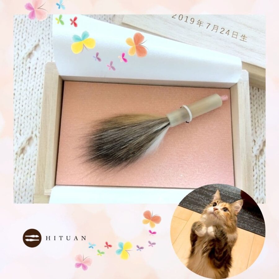 ペットの抜け毛で作る小さな筆