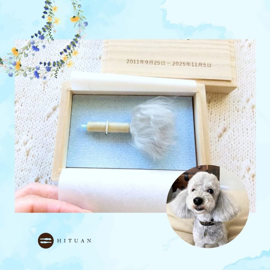 ペットの抜け毛で作る小さな筆