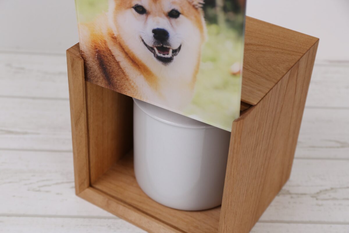 おもいでの棲