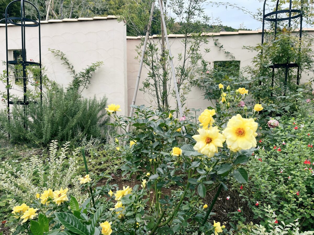 千の花々メモリアルガーデン