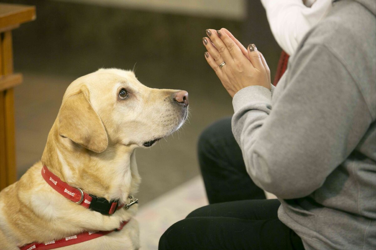 慈恵院 付属多摩犬猫霊園 (5)